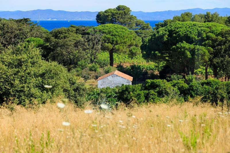 Installation artistique monumentale en sculpture bois flotté sur une plage française au lever du soleil